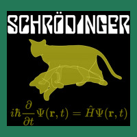 Of Schrodinger Equation Poster Ladies Fitted T-shirt | Artistshot