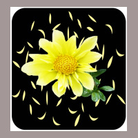 Pocket Yellow Flower  Stars Vintage Short | Artistshot