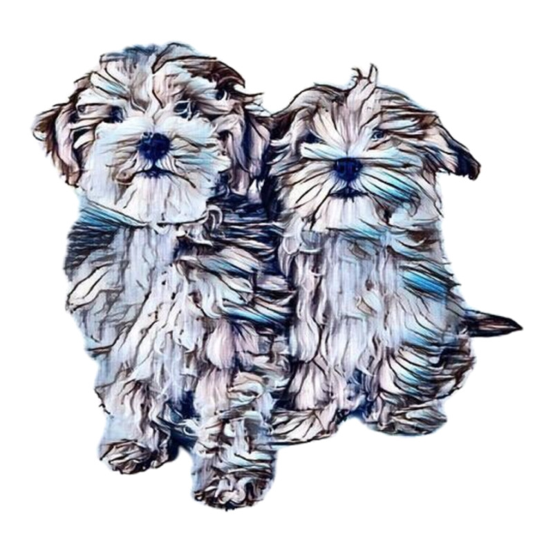 Two Havanese Puppy Siblings S Sticker | Artistshot