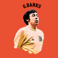 Legends Of The Beautiful Game Cartoon Collection Legends Gordon Banks Ladies Fitted T-shirt | Artistshot