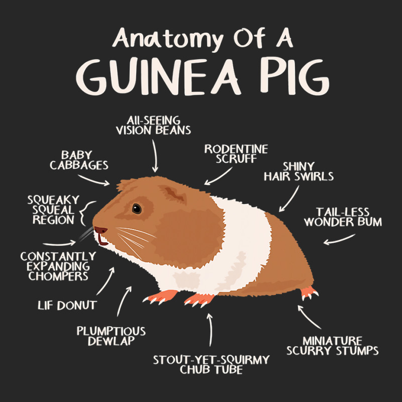 Anatomy Of A Guinea Pig Clothes Cavy Outfit Gift Guinea Pig Men's T-shirt Pajama Set | Artistshot