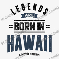 Hawaii Ladies Fitted T-shirt | Artistshot