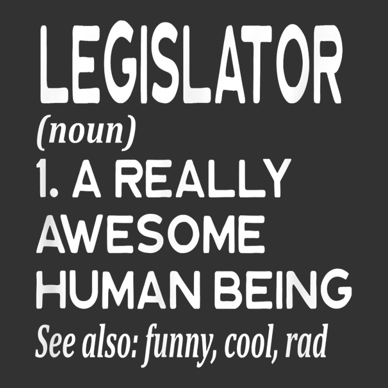 Legislator Definition Funny Legislation Lawmaker Politician T Shirt Baby Bodysuit | Artistshot