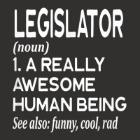 Legislator Definition Funny Legislation Lawmaker Politician T Shirt Champion Hoodie | Artistshot