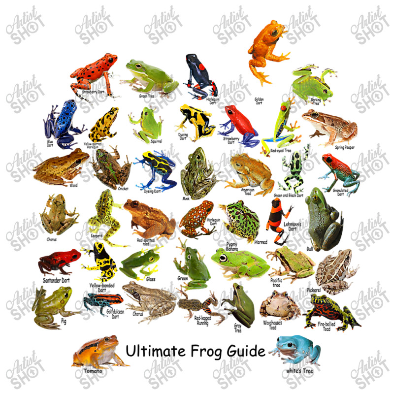 Ultimate Frog Guide Funny Frog Lover Frog Owner Frogs Youth Hoodie | Artistshot