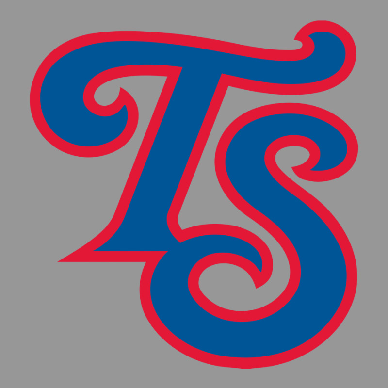 Tennessee Smokies Women's V-Neck T-Shirt by Raberkor | Artistshot