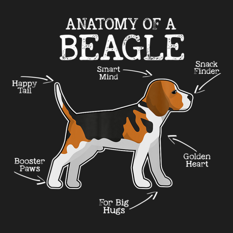 Beagle Lovers Dog Mom Funny Anatomy Of A Beagle Classic T-shirt by winatadeepood | Artistshot