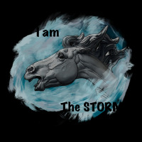 Limited Edition I Am The Storm! V-neck Tee | Artistshot