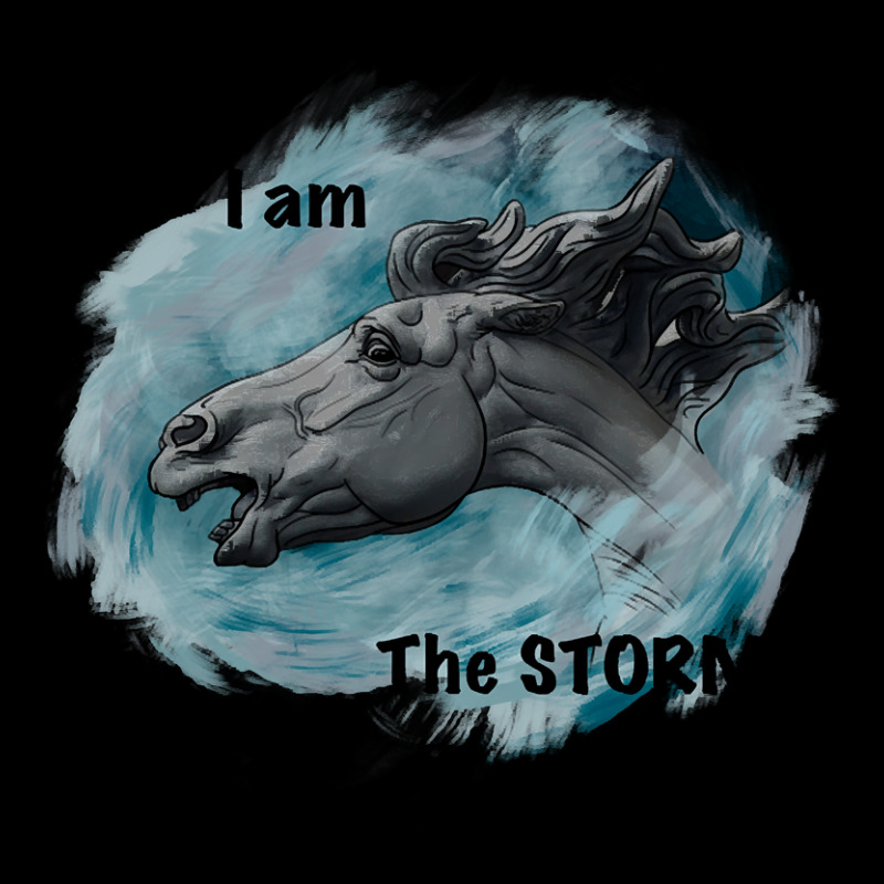 Limited Edition I Am The Storm! V-neck Tee | Artistshot