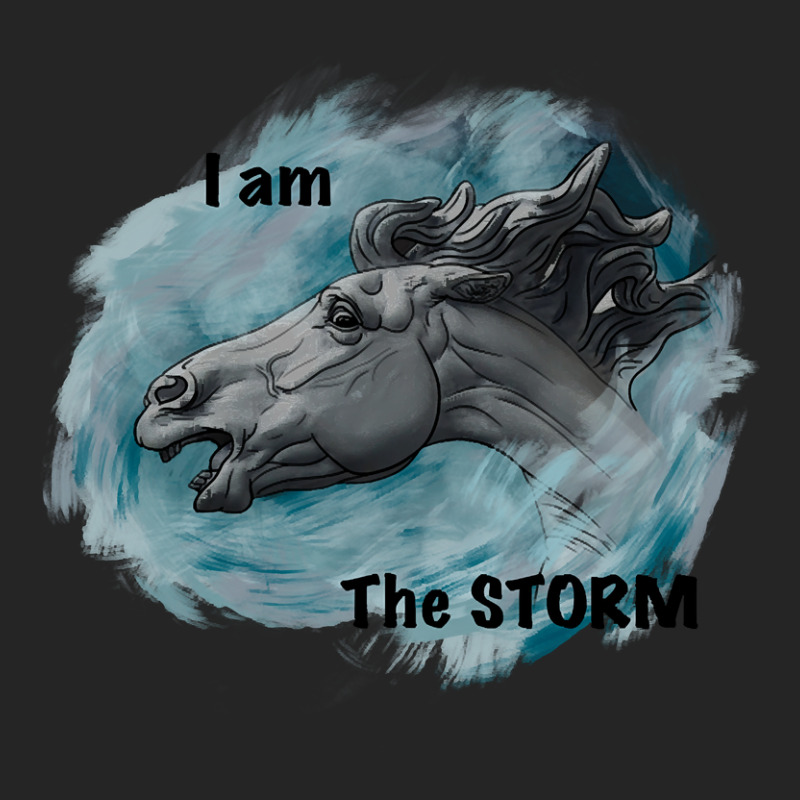 Limited Edition I Am The Storm! Unisex Hoodie | Artistshot