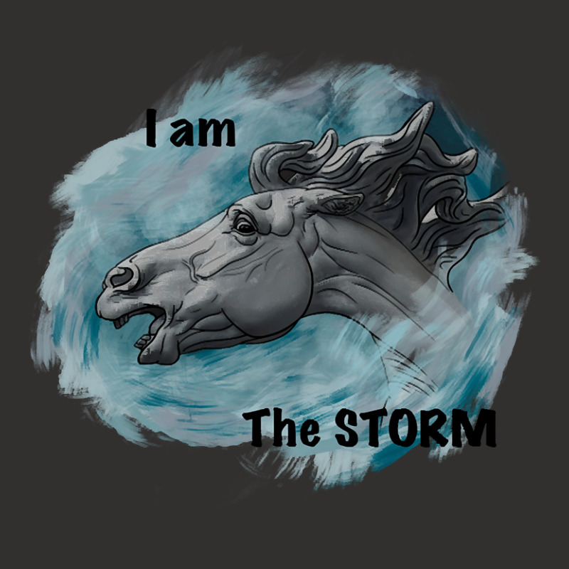 Limited Edition I Am The Storm! Champion Hoodie | Artistshot