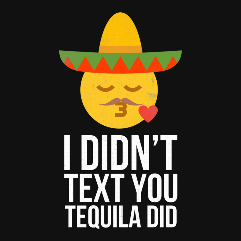 Cinco De Mayo Merch I Didn't Text You Tequila Did Tshirt Holiday
