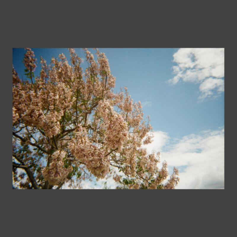 Granite Belt Flowers On 35mm Film Vintage T-shirt | Artistshot