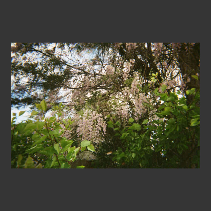 Granite Belt Flowers On 35mm Film 2 Toddler Hoodie | Artistshot