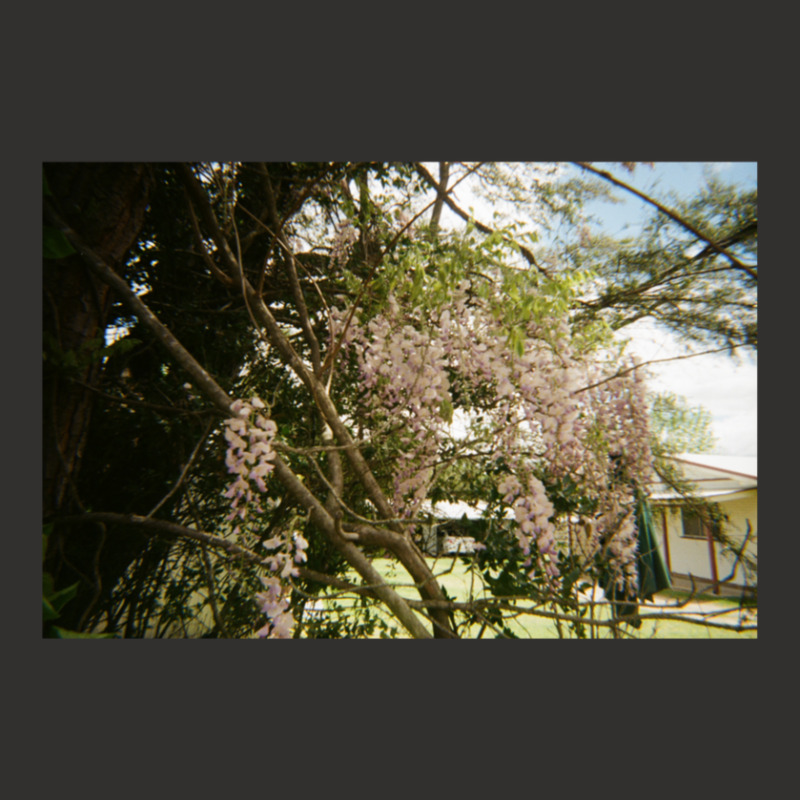 Granite Belt On 35mm Film Champion Hoodie | Artistshot