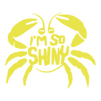 I'm So Shiny Unisex Hoodie | Artistshot