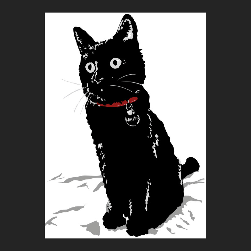 Merlin The Little Black Cat Poster Girl 3/4 Sleeve Shirt | Artistshot