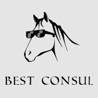 Incitatus For Consul Exclusive T-shirt | Artistshot