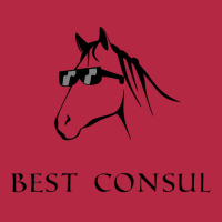 Incitatus For Consul Champion Hoodie | Artistshot