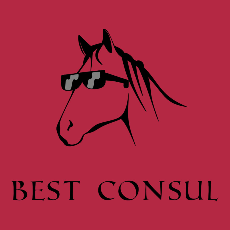 Incitatus For Consul Champion Hoodie | Artistshot