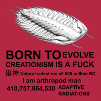 Born To Evolve Creationism Is A Fck Champion Hoodie | Artistshot