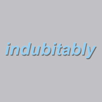 Indubitably Pocket T-shirt | Artistshot