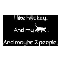 I Like Hockey My Cat And 2 People Poster Girl V-neck Tee | Artistshot