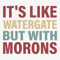 Its Like Watergate But With Morons   Funny Ladies Fitted T-shirt | Artistshot