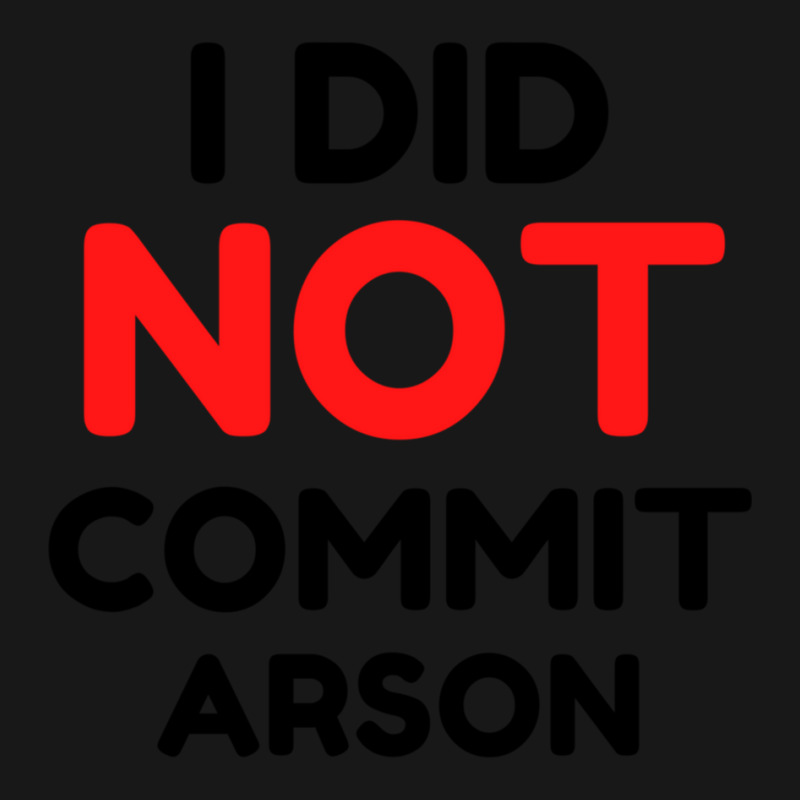 I Did Not Commit Arson     (1) Flannel Shirt | Artistshot