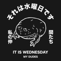 Hot Trend It Is Wednesday My Dudes Japanese Aesthetic Flannel Shirt | Artistshot