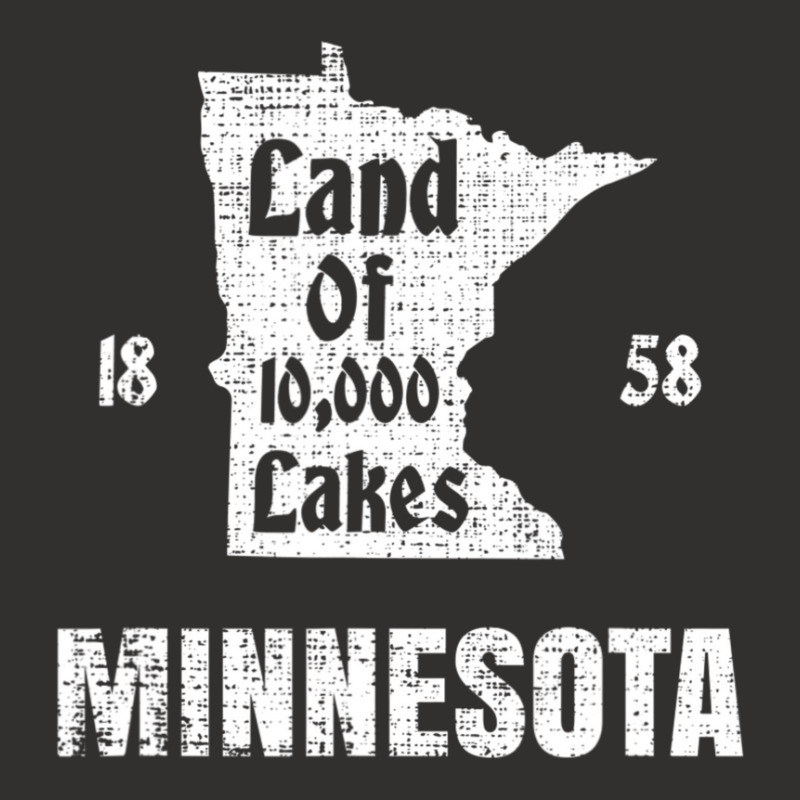 Limited Edition Minnesota Land Of 10000 Lakes State Souvenir Champion Hoodie | Artistshot