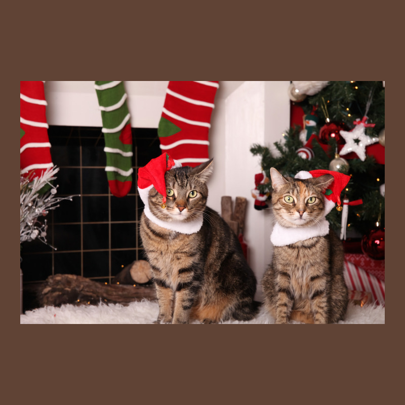 Christmas Kitties Poster Stars T-shirt | Artistshot