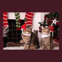 Christmas Kitties Poster Stars Unisex Hoodie | Artistshot