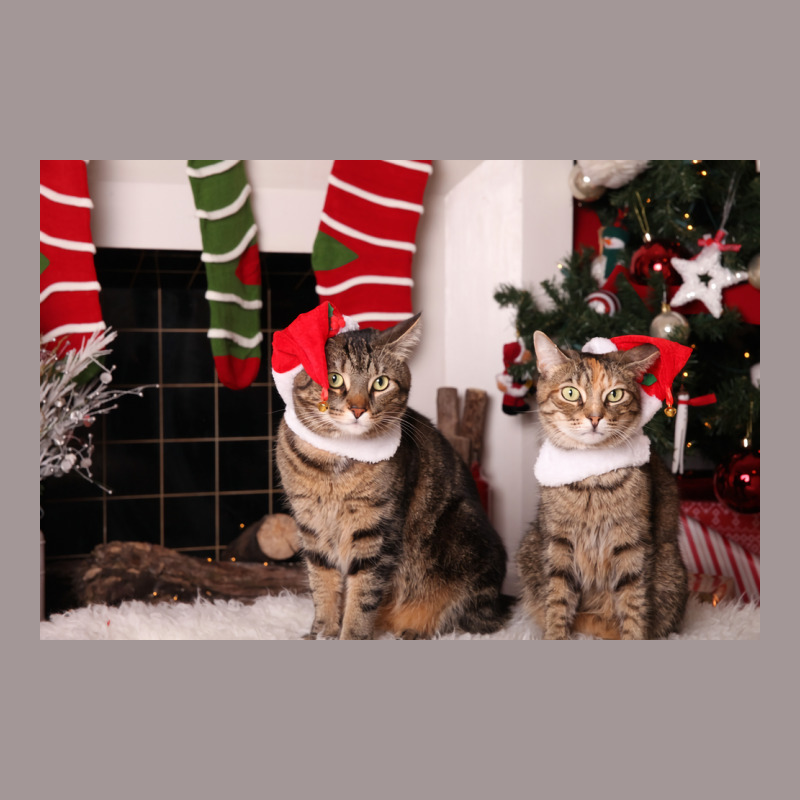 Christmas Kitties Poster Stars Vintage Short | Artistshot