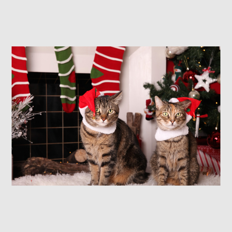 Christmas Kitties Poster Stars Unisex Jogger | Artistshot