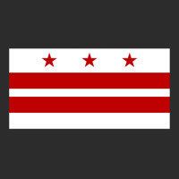 Flag Of Washington Dc   Girl Exclusive T-shirt | Artistshot