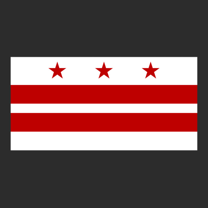 Flag Of Washington Dc   Girl Exclusive T-shirt | Artistshot