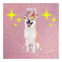 Cute Twinkling Akita Cute Poster Gift Sticker | Artistshot