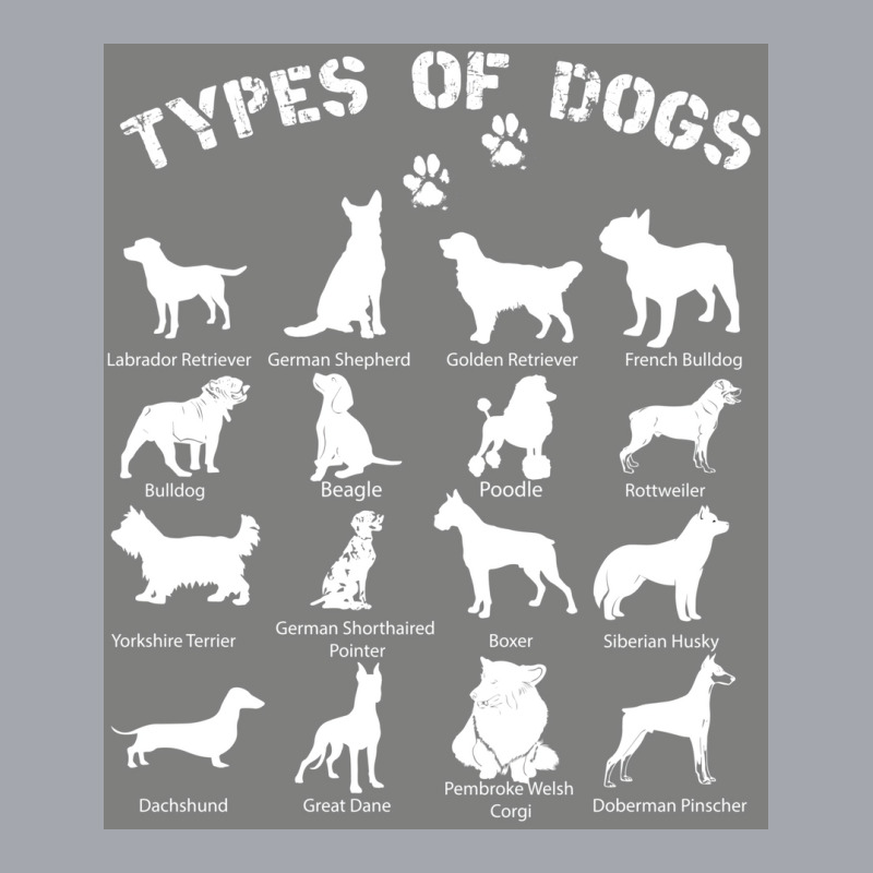 Types Of Dogs Biology Black Tshirt Poster Yellow Long Sleeve Shirts by khenethiesj | Artistshot