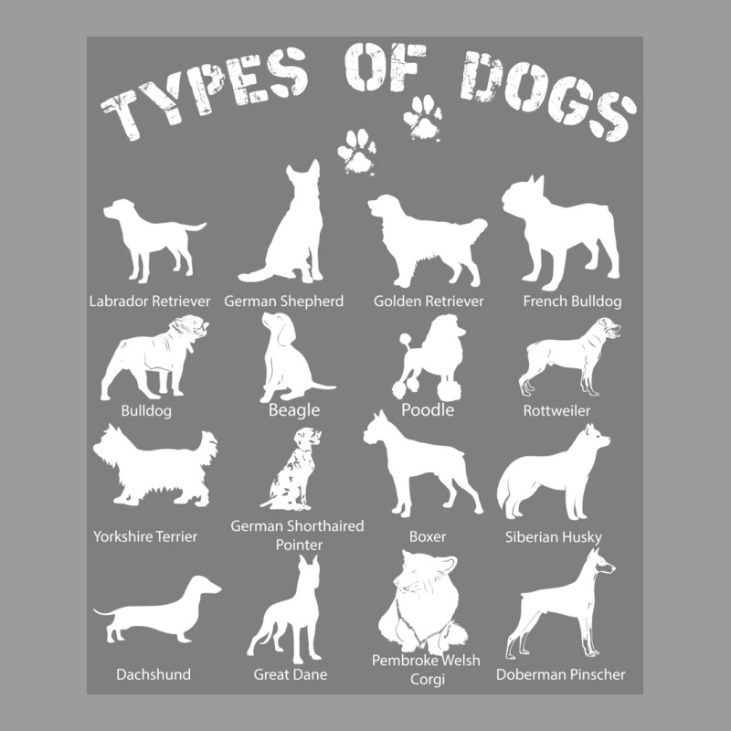 Types Of Dogs Biology Black Tshirt Poster Yellow Classic T-shirt by khenethiesj | Artistshot