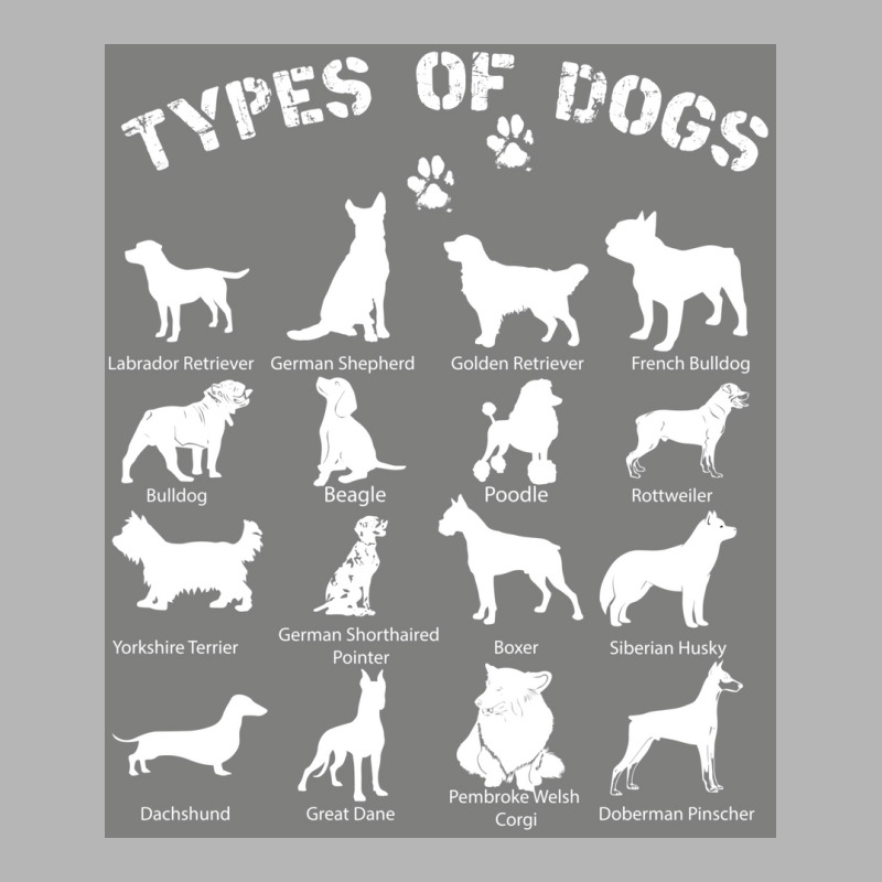 Types Of Dogs Biology Black Tshirt Poster Yellow Hoodie & Jogger set by khenethiesj | Artistshot