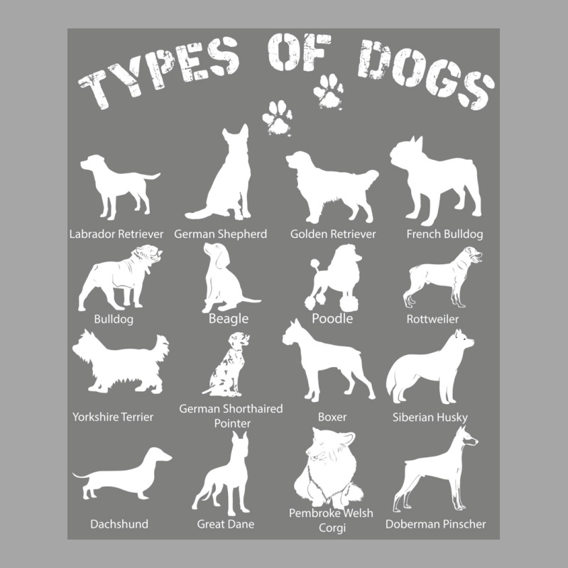 Types Of Dogs Biology Black Tshirt Poster Yellow Men's Polo Shirt by khenethiesj | Artistshot