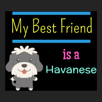 My Best Friend Is A Havanese Poster Funny Gift 3/4 Sleeve Shirt | Artistshot