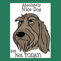 Spinone Italiano Nice Dog Poster T-shirt | Artistshot