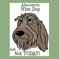 Spinone Italiano Nice Dog Poster Graphic T-shirt | Artistshot