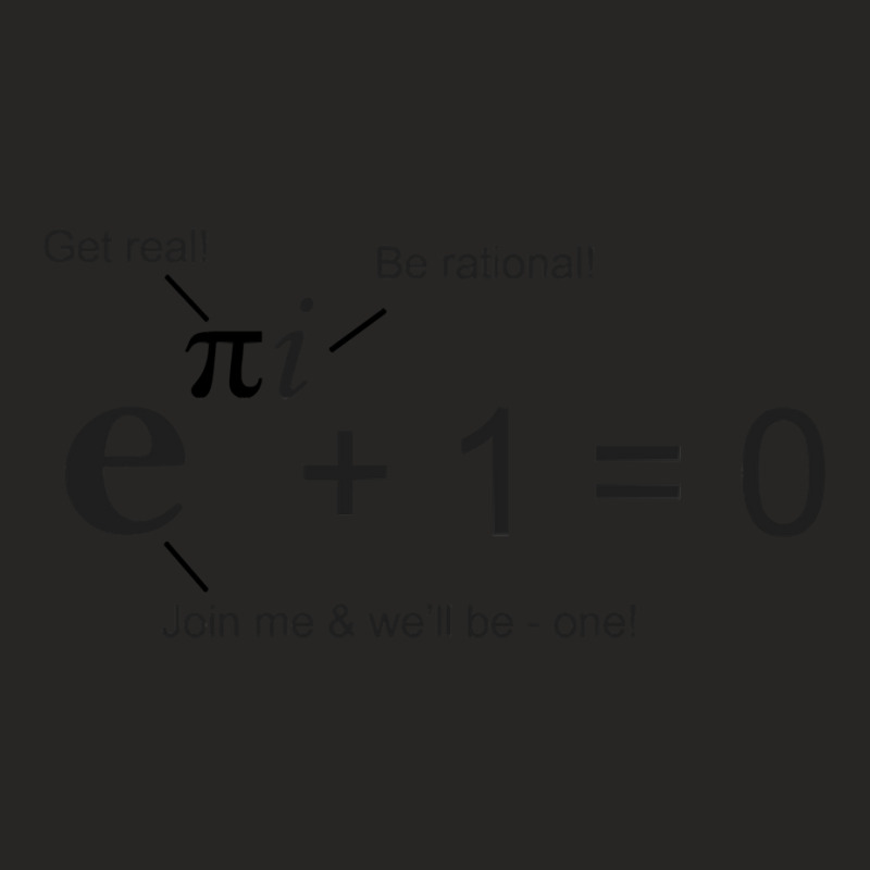 Euler's Identity, The Most Beautiful Equation In Math Ladies Fitted T-Shirt by ClaytonPaulToquero | Artistshot