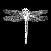 Dragonfly Baby Tee | Artistshot