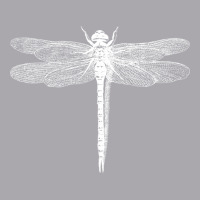 Dragonfly Youth 3/4 Sleeve | Artistshot