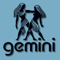 Gemini Accessory Pouches | Artistshot