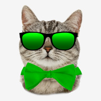 St Patricks Day Irish Cat Atv License Plate | Artistshot